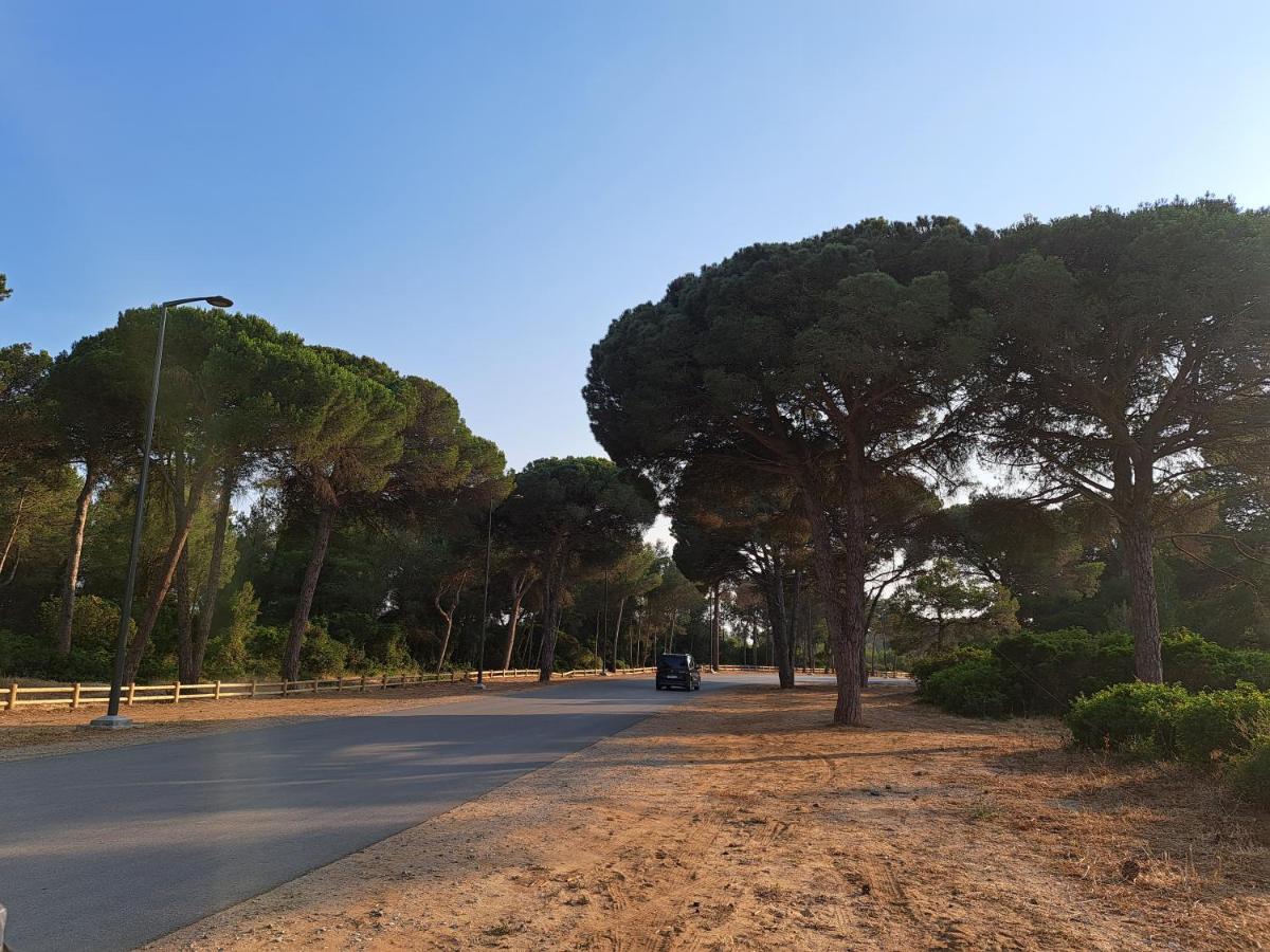 Cosy Appartement A 3Min De La Foret Et 5Min De La Plage Танжер Екстериор снимка